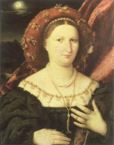 Lorenzo Lotto portrait of lucina brembati